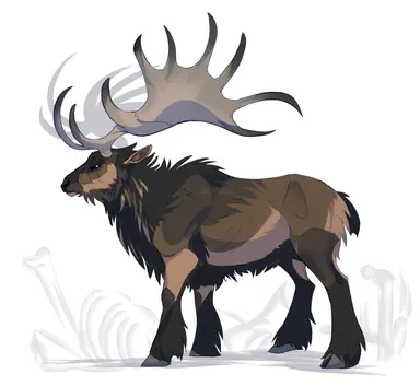 Profile image of Malachi