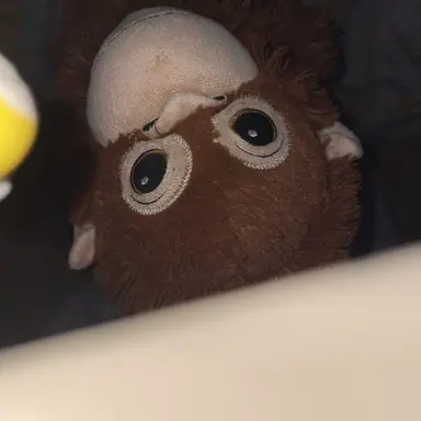 Profile image of 결정 하는 놈