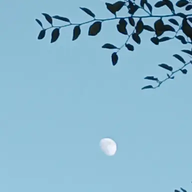 Profile image of 선생님