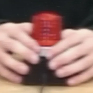 Profile image of 東 言