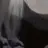 葵