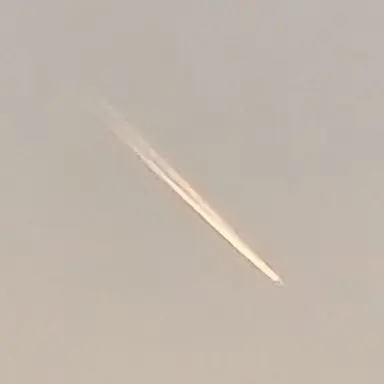 Profile image of 이규리