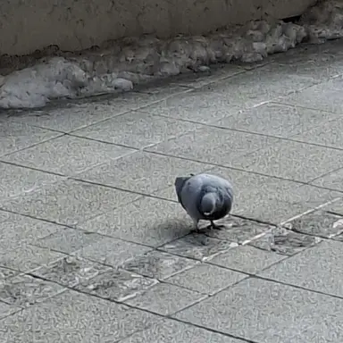 Profile image of 이서온