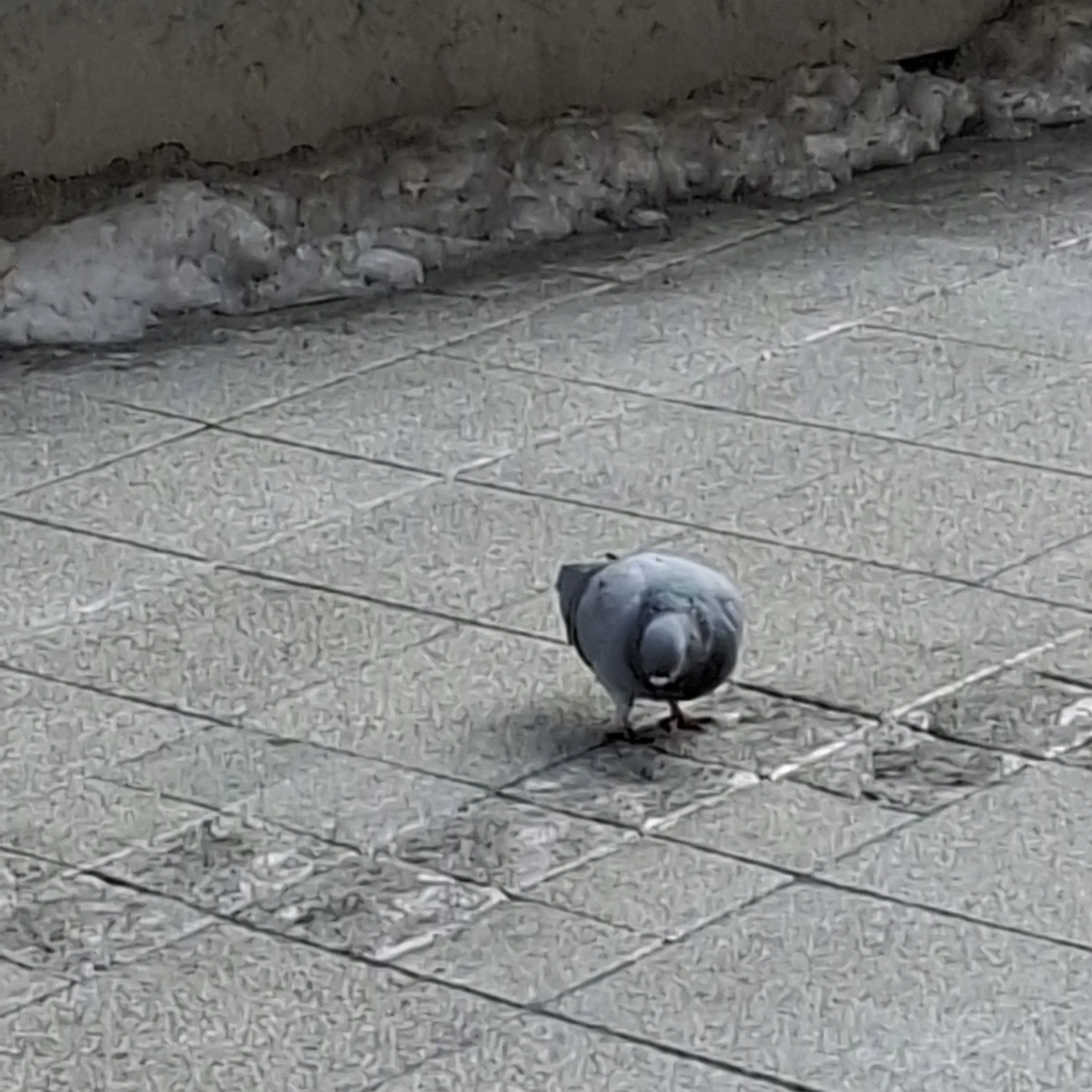 Riley120121의 소프트웨어 오류-