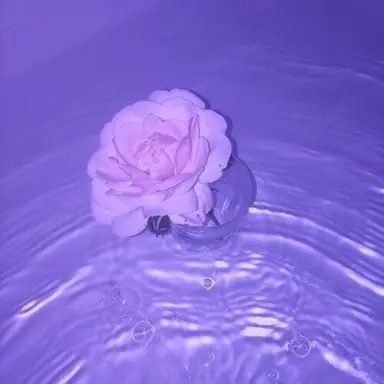 Profile image of 멜로우