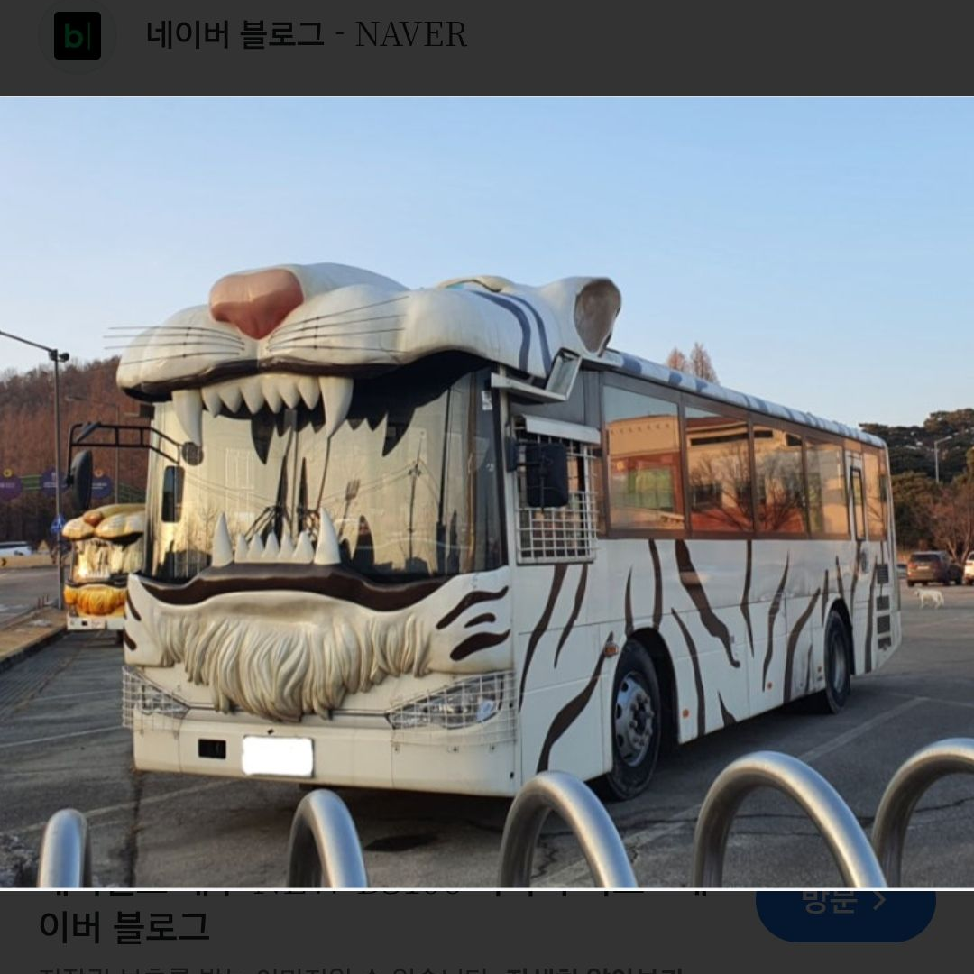 사파리버스의하루 대표 이미지
