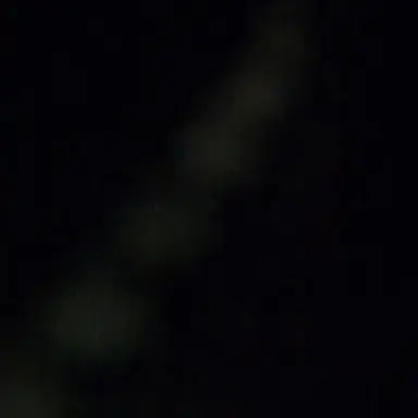 Profile image of 짐승친구들 여우추가