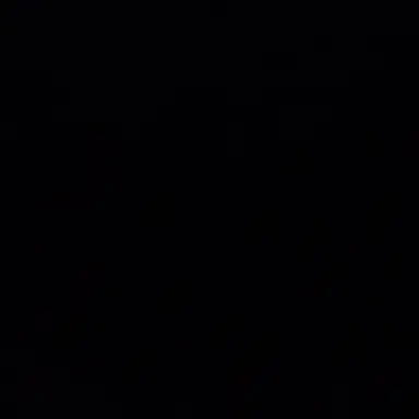 Profile image of 김동현