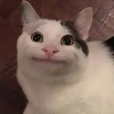 Profile image of 視聴者