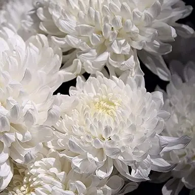 Profile image of 쾐찮아요님.