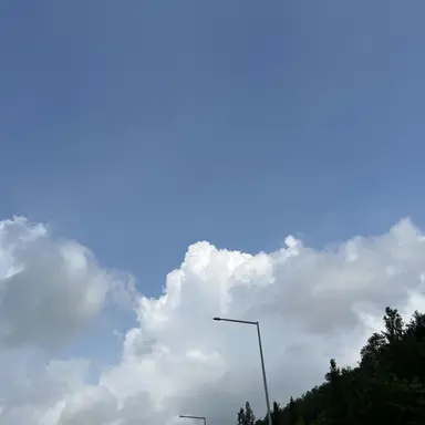 Profile image of 감독님