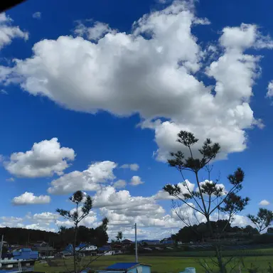 Profile image of 버츄얼싱어