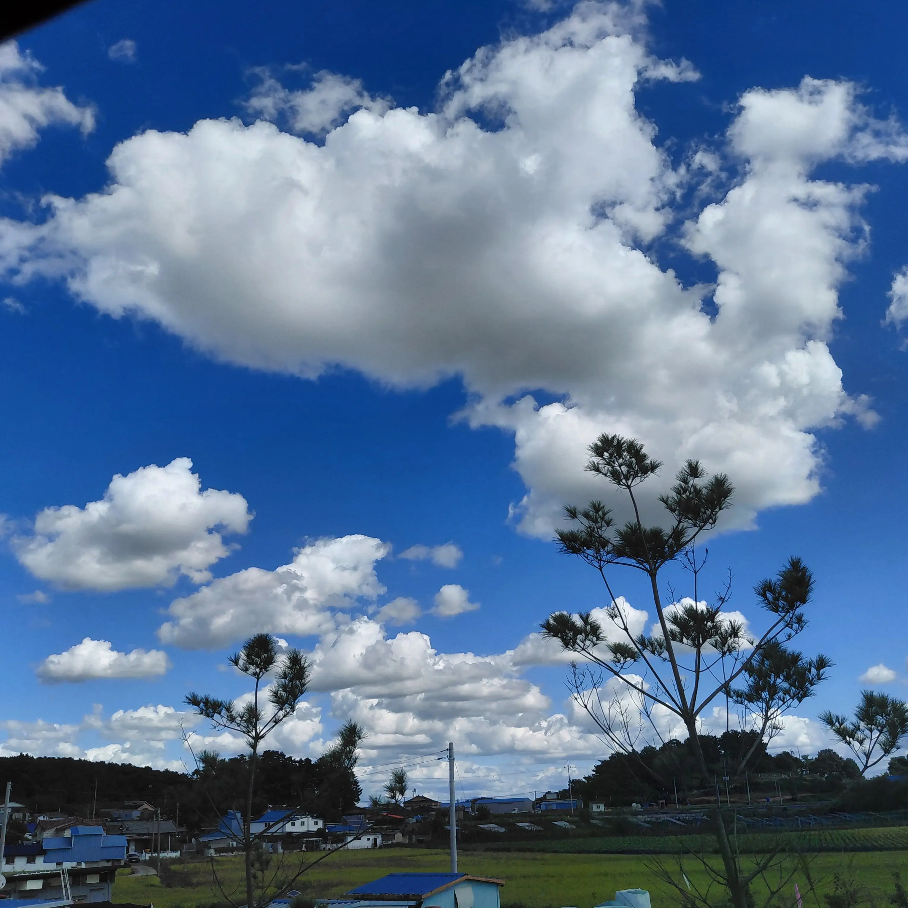 KATO-LOVE_678353의 버츄얼 항공에 어서오세요!환영합니다