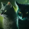 Profile image of Warrior Cats