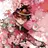 花子くん