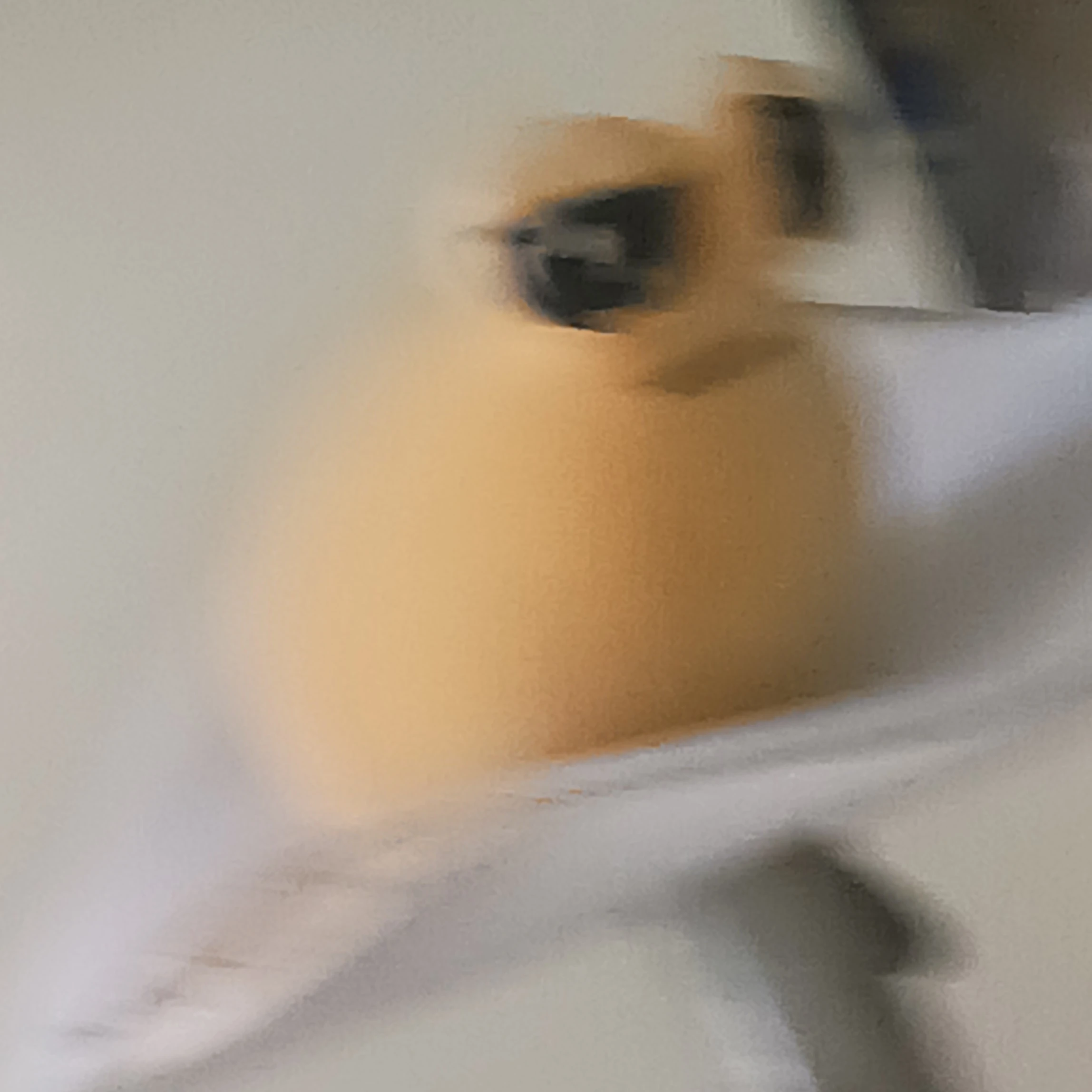 포우