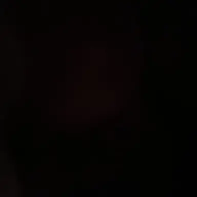 Profile image of ニジー
