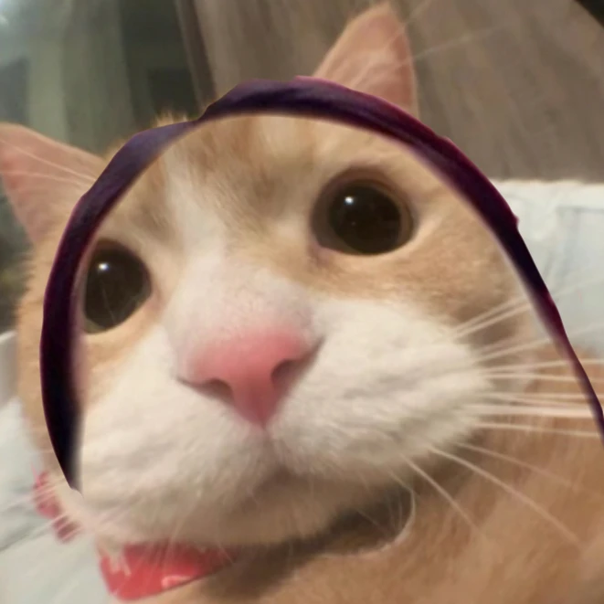 남규