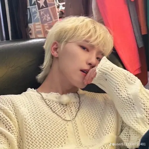 OrnateTrump7176의 이찬