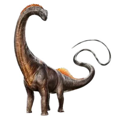 Profile image of 빅