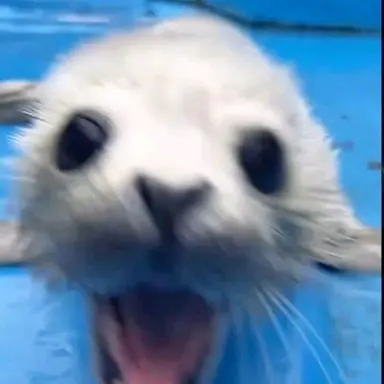 Profile image of リョウ