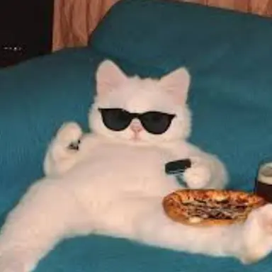 Profile image of 유튜버 MT