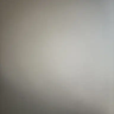 Profile image of 타코