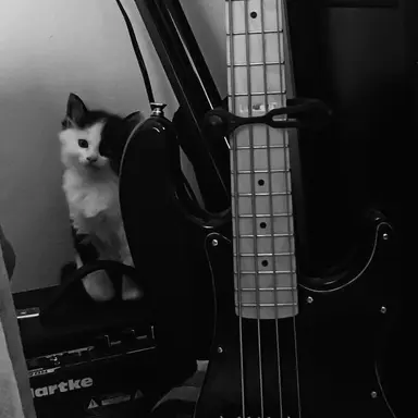 Profile image of 플리키뱅