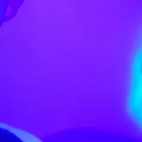 Profile image of 고쥬저