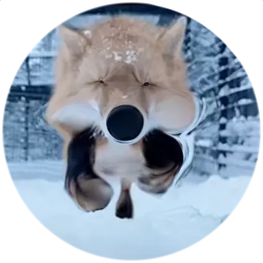 Profile image of 최 여우