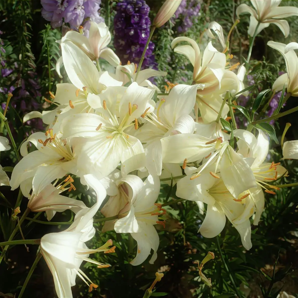 vousmevoyez.의 유지민