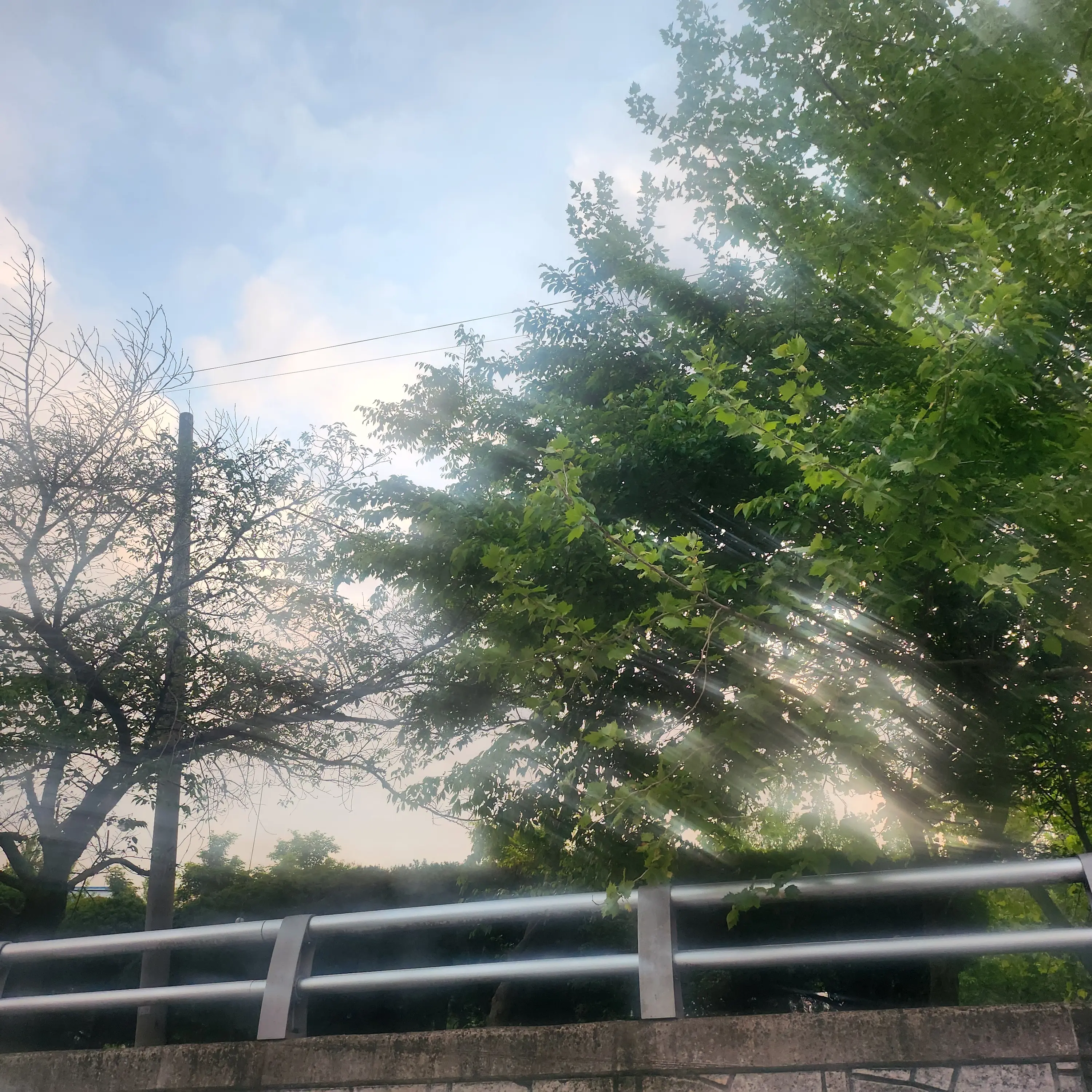 SleazyDebit3881의 변태남자에게납치당했다