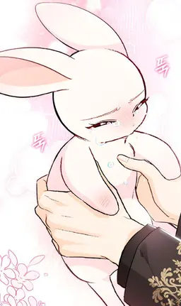 Profile image of 비비