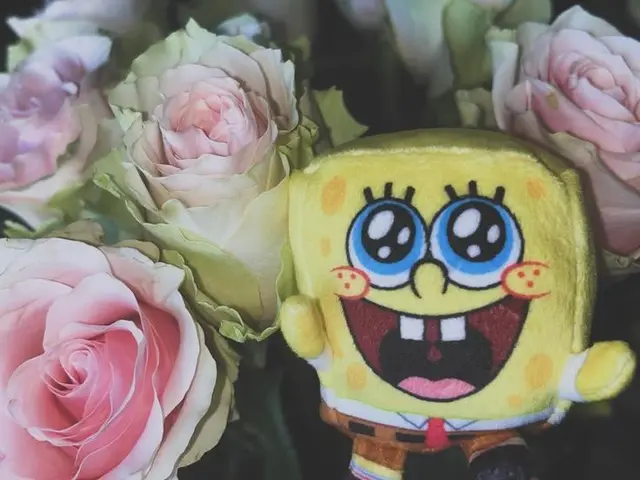 Profile image of -Spongebob