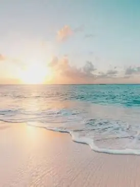 VIICHAN_lover의 이상한 바다의 상어공주