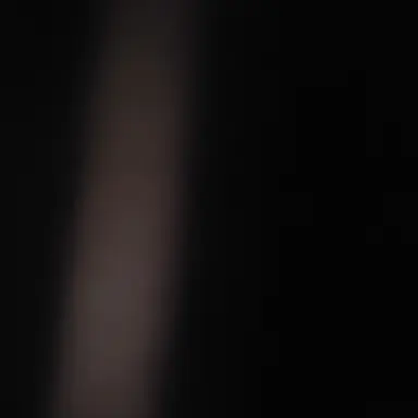 Profile image of 제임스