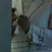 5층