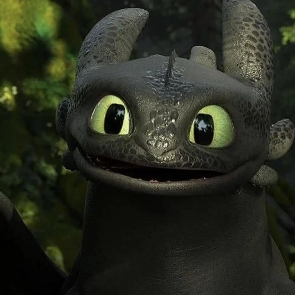 MauveDay4709의 HTTYD
