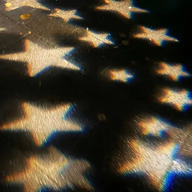 Profile image of 소마