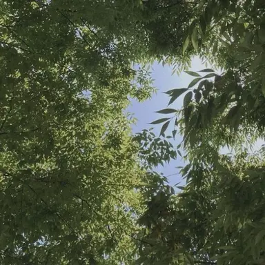 Profile image of 공룡