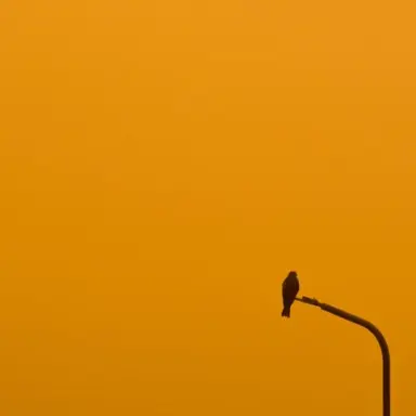 Profile image of 덕개