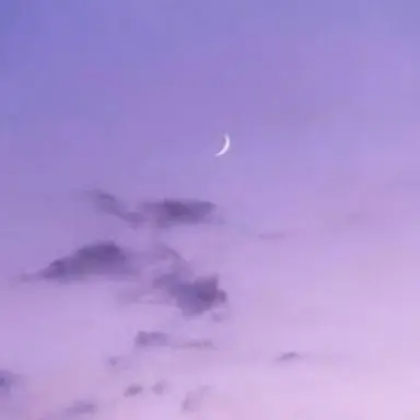 Profile image of 수현