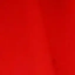 Profile image of 성태훈