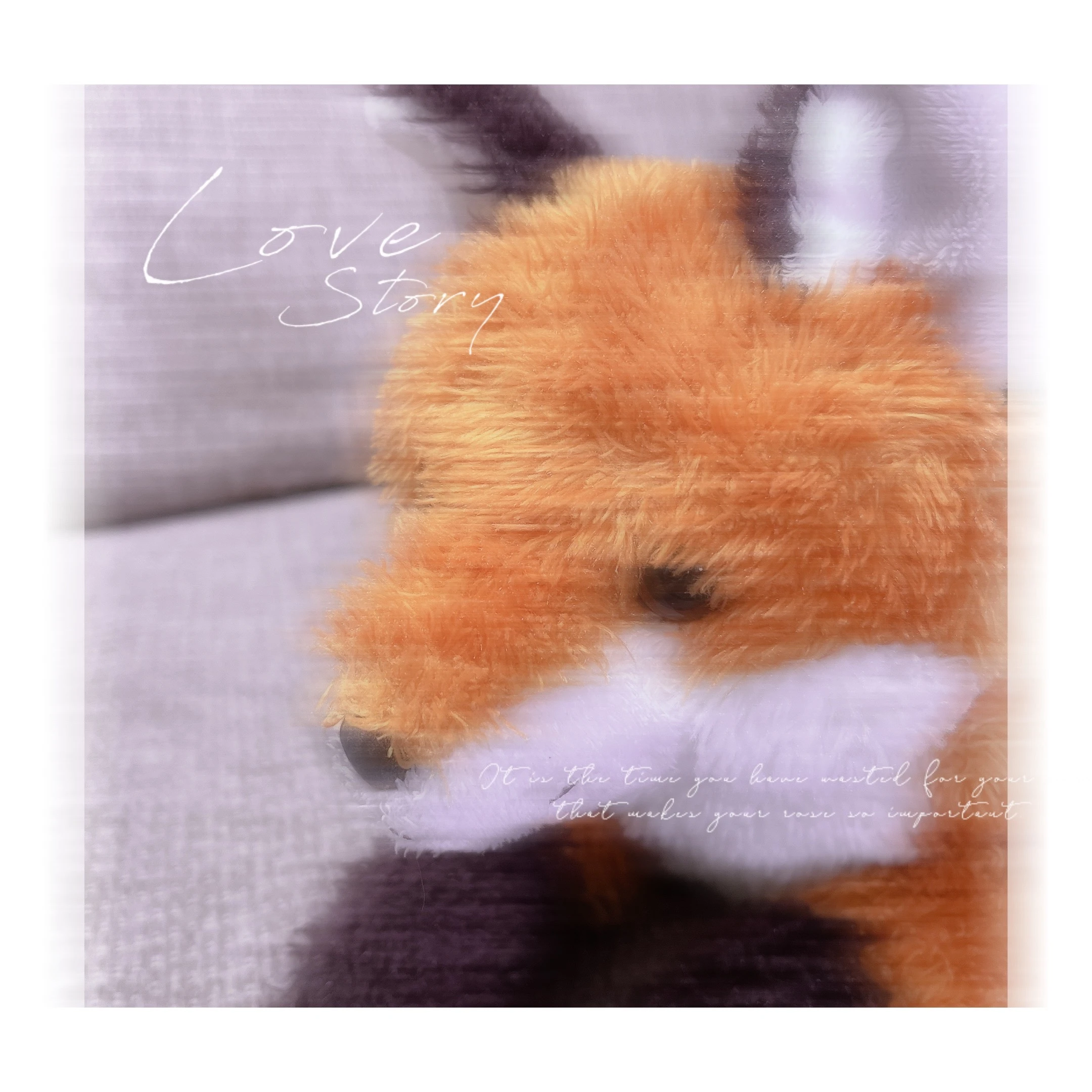 秋くん