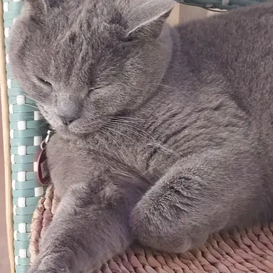 Profile image of 주인장