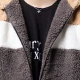 Profile image of ふぉい