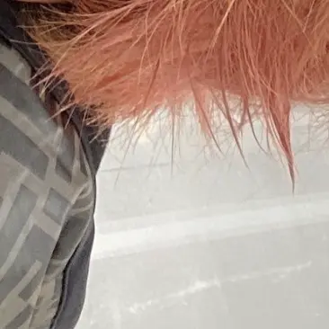 Profile image of まる