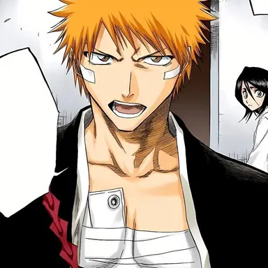 Profile image of 黒崎一護