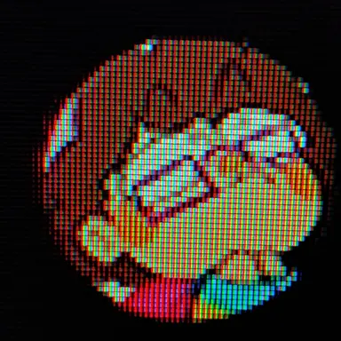Profile image of The cacartoonstudios