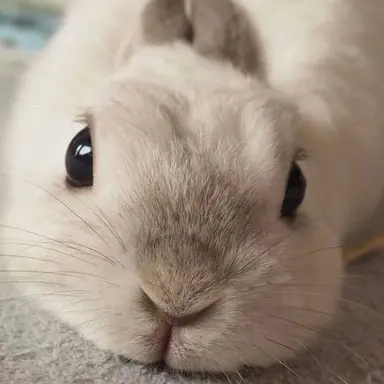 Profile image of 최재하